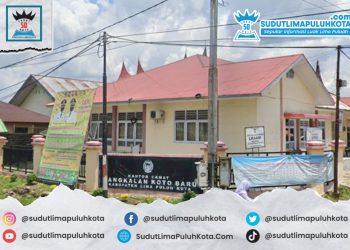 Kecamatan Pangkalan Koto Baru, Kabupaten Lima Puluh Kota