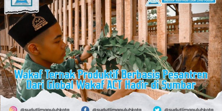 Wakaf Ternak Produktif Berbasis Pesantren Dari Global Wakaf ACT Hadir di Sumbar