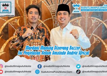 Mardani Maming Diserang Buzzer, Ini Penjelasan Ketum Amsindo Andrie Afrizal
