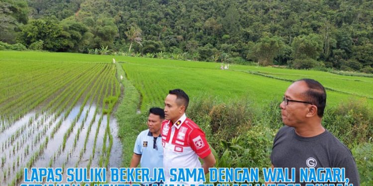 LAPAS SULIKI BEKERJA SAMA DENGAN WALI NAGARI, SEDIAKAN 1 HEKTAR LAHAN ASIMILASI WARGA BINAAN