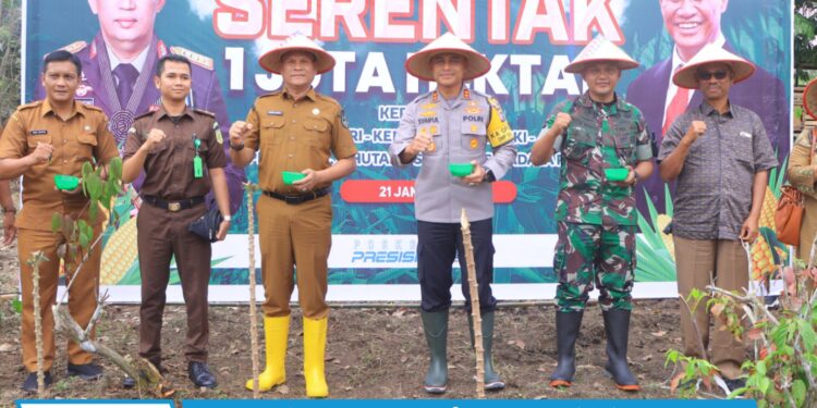 Wujudkan 1 Juta Hektar Lahan Jagung, Pemkab Lima Puluh Kota Dukung Penuh Swasembada Pangan Presiden Prabowo