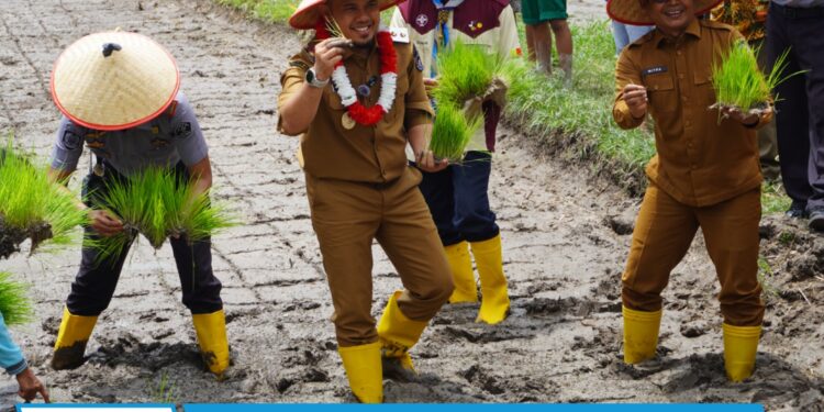 Wakil Bupati Lima Puluh Kota Ahlul Badrito Resha Tanam Padi Bersama Warga Binaan Lapas Suliki Dukung Program Ketahanan Pangan