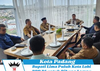 Bupati Lima Puluh Kota Lobi DPR RI untuk Ribuan Lampu Jalan Tenaga Surya
