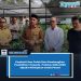Pemkab Lima Puluh Kota Kembangkan Pembibitan Terpadu, Puluhan Ribu Bibit Alpukat Disiapkan untuk Petani