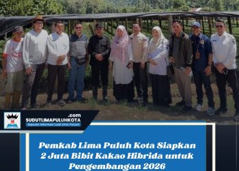 Pemkab Lima Puluh Kota Siapkan 2 Juta Bibit Kakao Hibrida untuk Pengembangan 2026