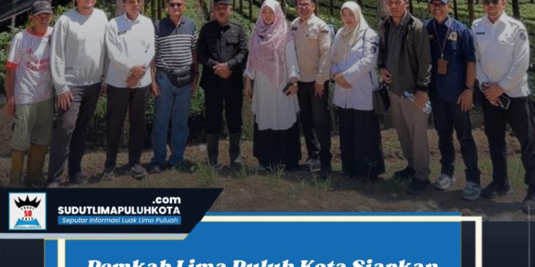 Pemkab Lima Puluh Kota Siapkan 2 Juta Bibit Kakao Hibrida untuk Pengembangan 2026