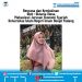 Opini : Bencana dan Kemiskinan