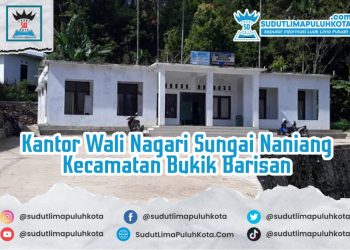 Sejarah Singkat Nagari Sungai Naniang