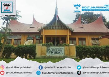 Kecamatan Mungka, Kabupaten Lima Puluh Kota