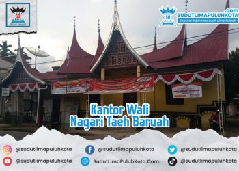 Sejarah Singkat Nagari Taeh Baruah