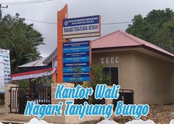 Sejarah Singkat Nagari Tanjuang Bungo