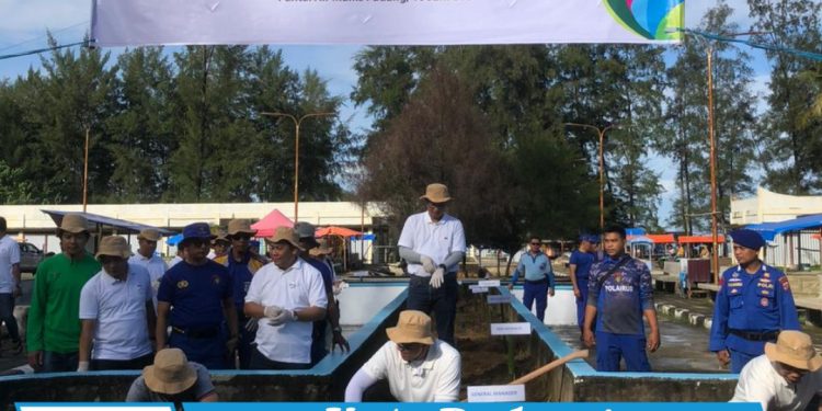 Rayakan Hari Lingkungan Hidup Sedunia Ratusan Relawan PLN Gelar Bersih-Bersih Pantai Dan Penanaman Pohon