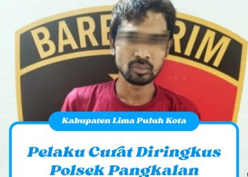 Pelaku Curat Diringkus Polsek Pangkalan