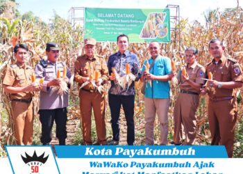 WaWaKo Payakumbuh Ajak Masyarakat Manfaatkan Lahan Tidur untuk Ketahanan Pangan