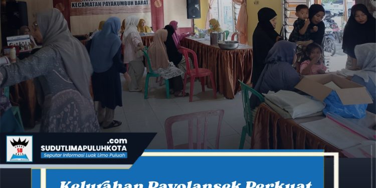 Kelurahan Payolansek Perkuat Layanan Dasar Melalui Posyandu Enam SPM
