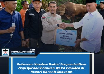 Gubernur Sumbar Hadiri Penyembelihan Sapi Qurban Bantuan Wakil Presiden di Nagari Baruah Gunuang