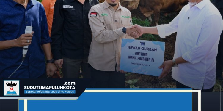 Gubernur Sumbar Hadiri Penyembelihan Sapi Qurban Bantuan Wakil Presiden di Nagari Baruah Gunuang