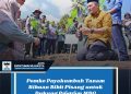 Pemko Payakumbuh Tanam Ribuan Bibit Pisang untuk Dukung Program MBG
