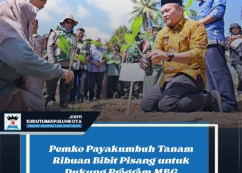 Pemko Payakumbuh Tanam Ribuan Bibit Pisang untuk Dukung Program MBG